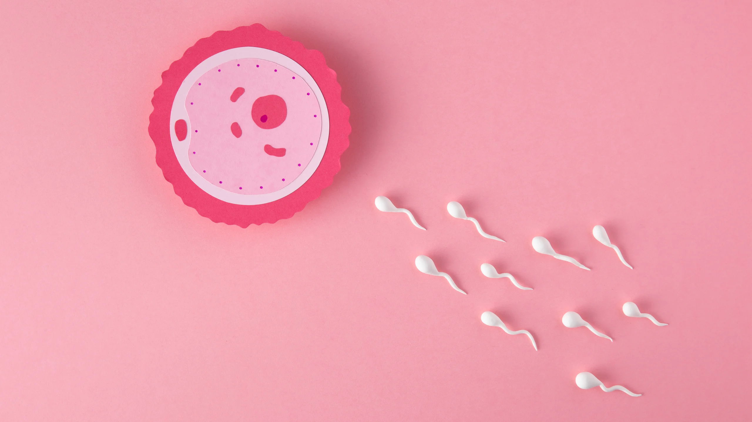 IUI ทางเลือกในการรักษาภาวะมีบุตรยาก ฉีดสเปิร์มเข้าโพรงมดลูก